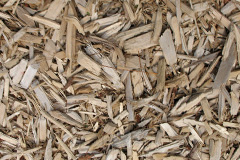 biomass boilers Tarves